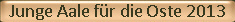 Junge Aale fr die Oste 2013